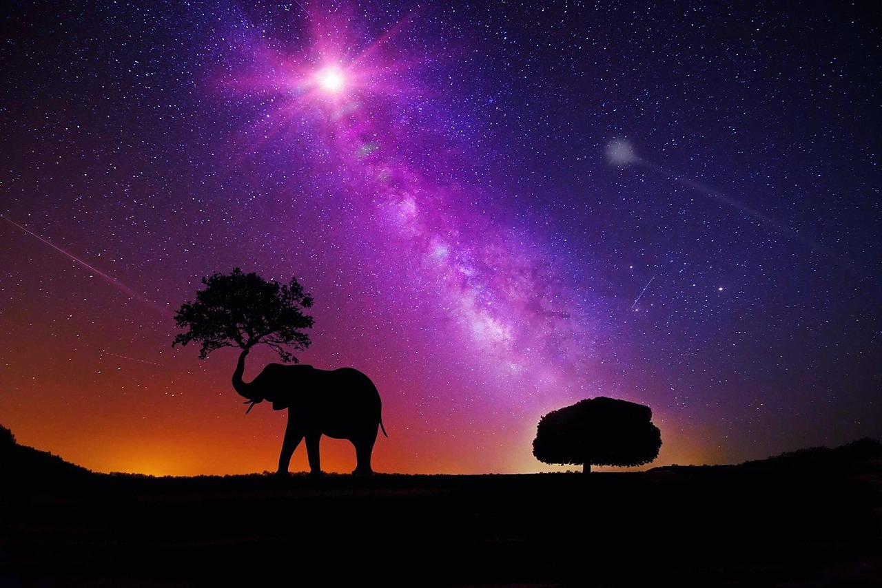 8月生日明星璀璨之夜，致敬那些在这个月份出生的明星们