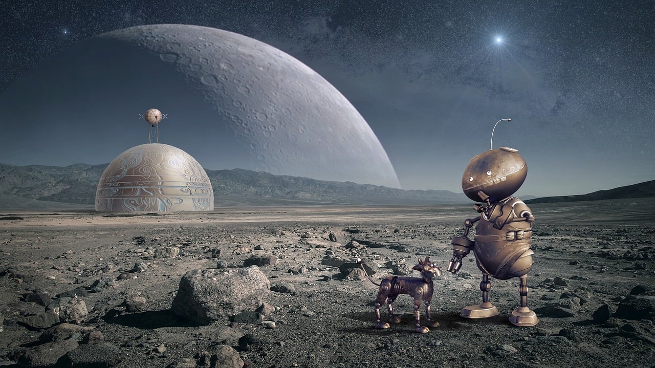 探索明星世界的文学之旅，明星小说集精选