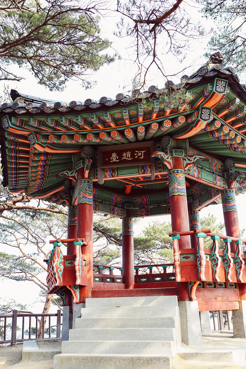 许昌曹魏古城进展更新，历史与现代的融合之旅启动