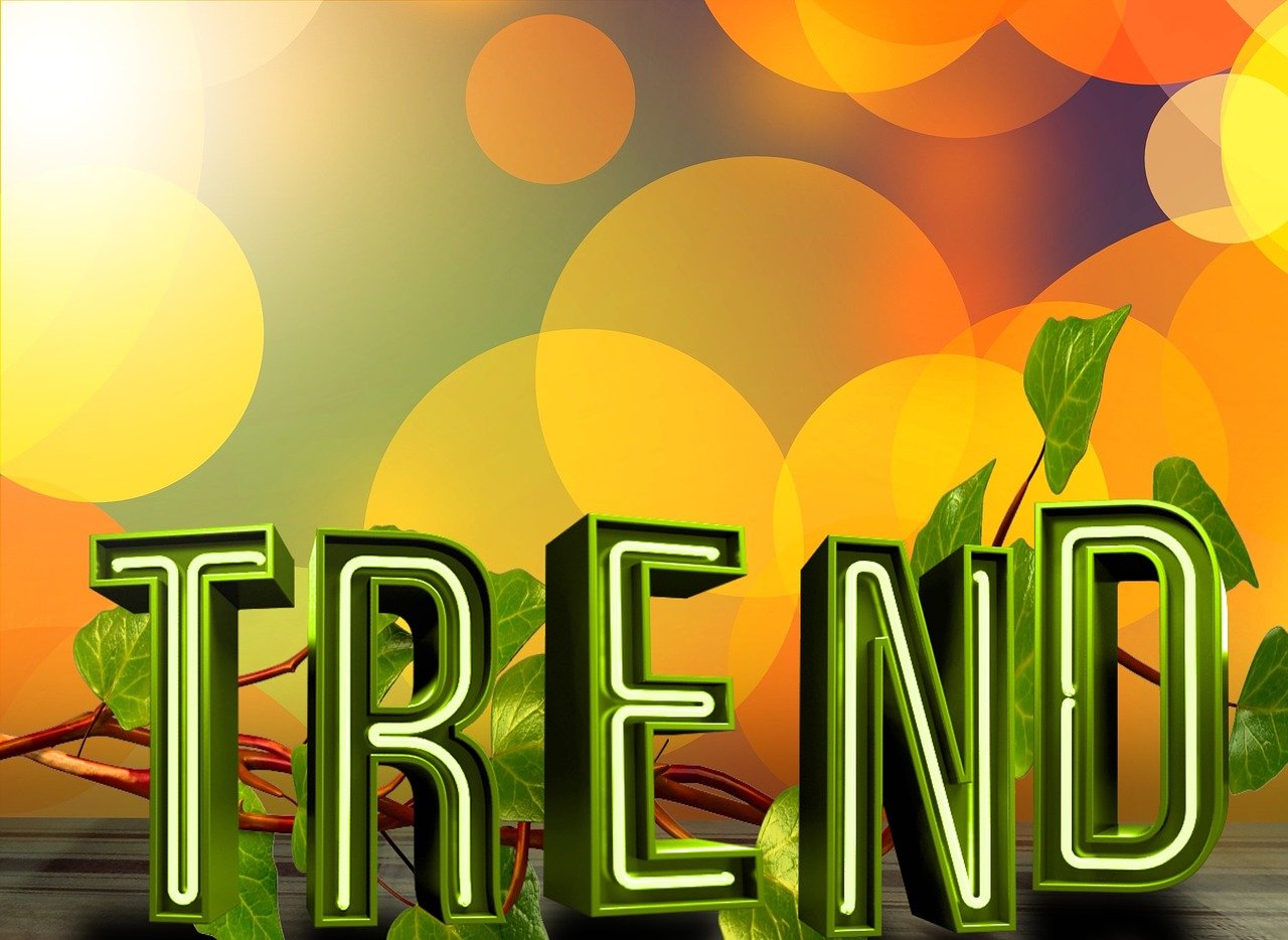 探索新时代社交潮流,最新派派体验分享